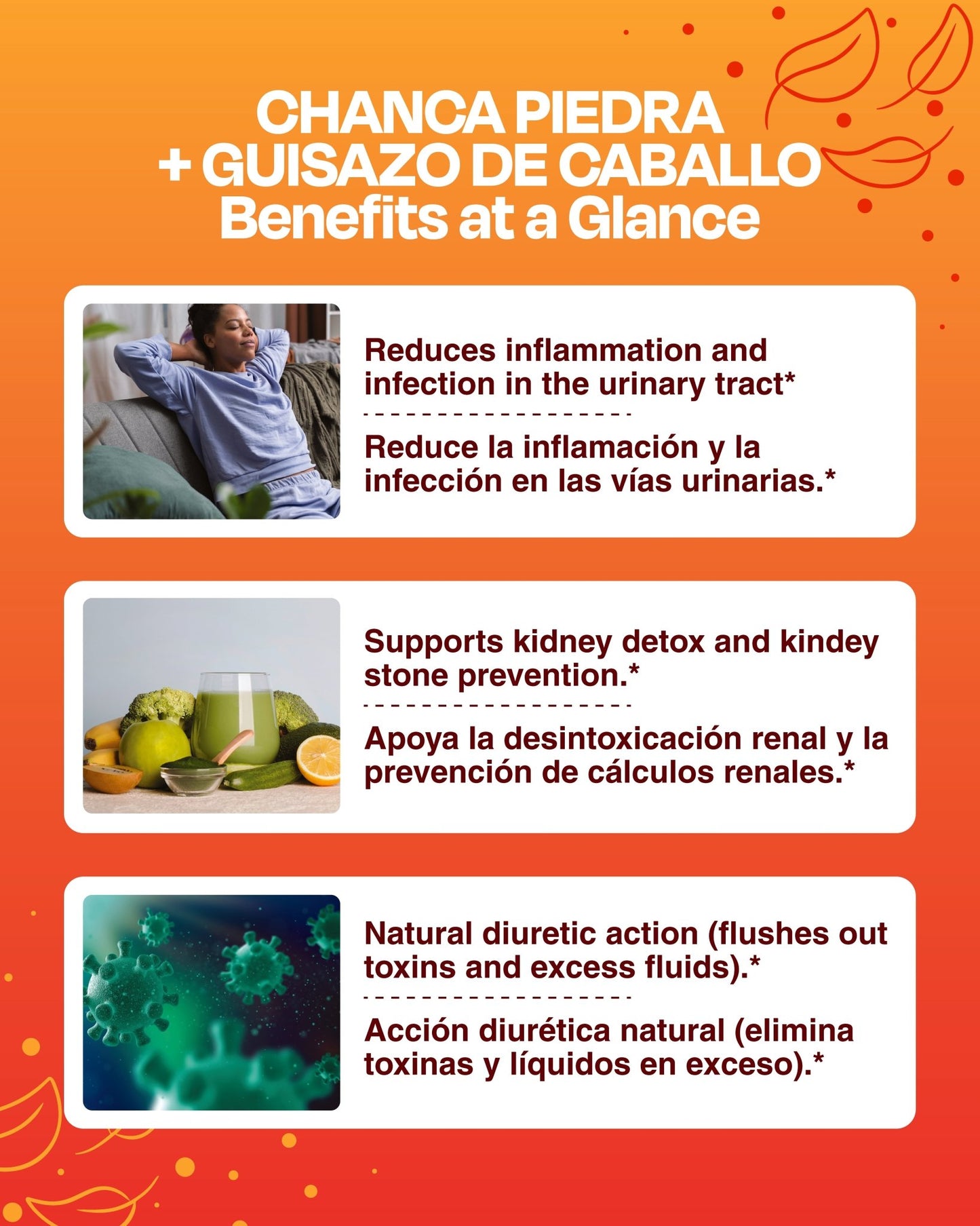Chanca Piedra + Guisazo de Caballo 1000mg Cápsulas - Sana Sana- Herbal Supplements-