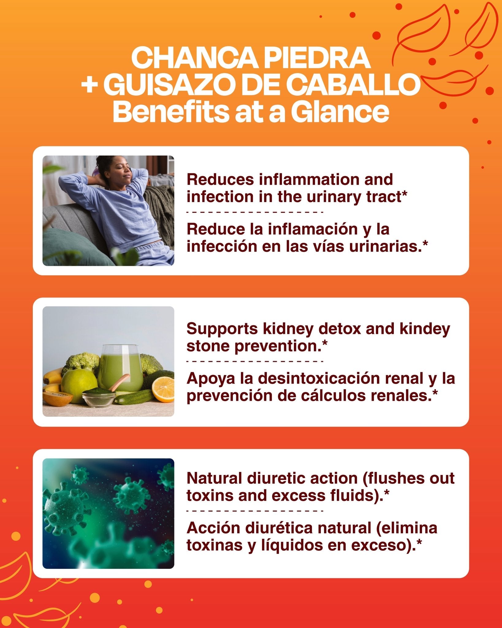 Chanca Piedra + Guisazo de Caballo 1000mg Cápsulas - Sana Sana- Herbal Supplements-
