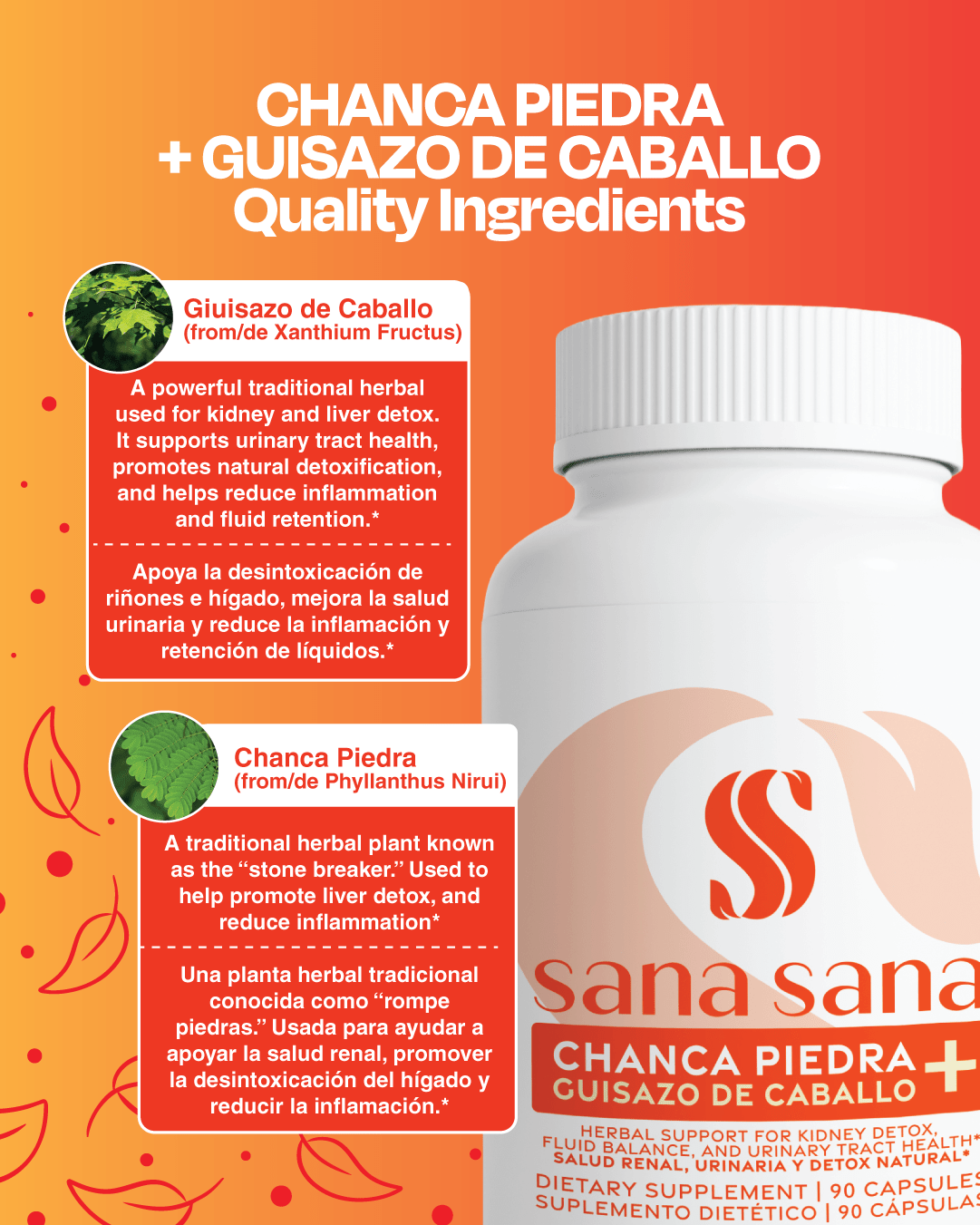 Chanca Piedra + Guisazo de Caballo 1000mg Cápsulas - Sana Sana- Herbal Supplements-