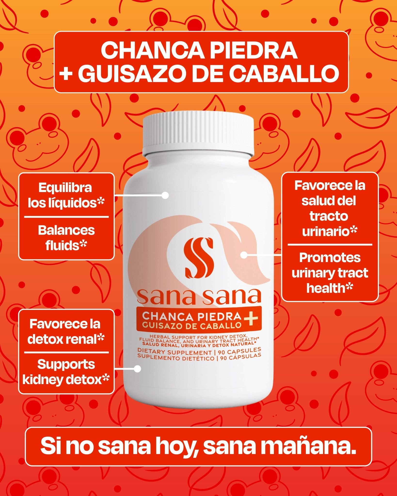 Chanca Piedra + Guisazo de Caballo 1000mg Cápsulas - Sana Sana- Herbal Supplements-
